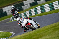 Lower Group White Bikes